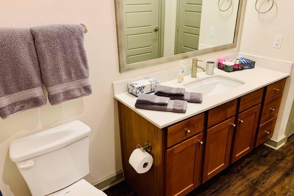 Daire New Apart Downtown - 5min Stadium/parks/museum Houston